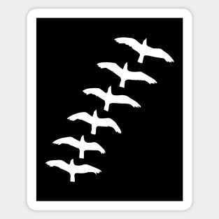 birds flying Sticker